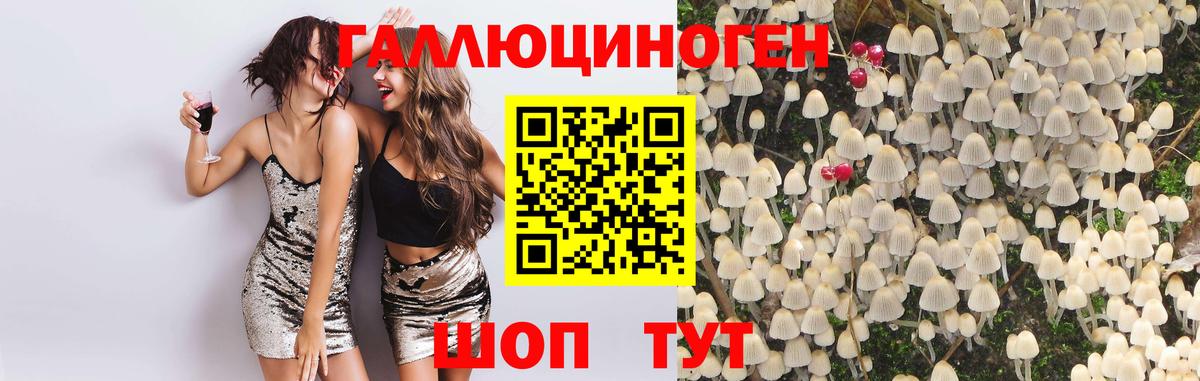 Псилоцибиновые грибы GOLDEN TEACHER Заводоуковск
